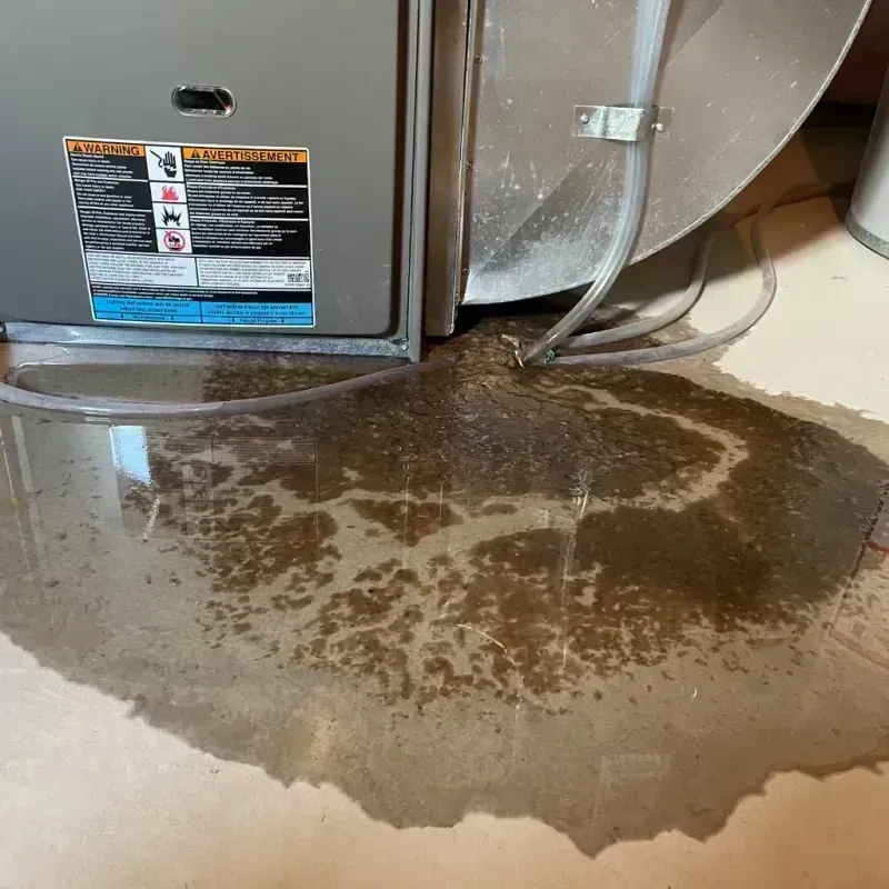 Appliance Leak Cleanup in Glenville, WV